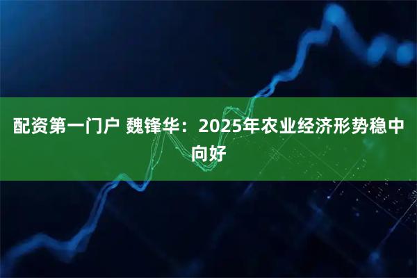 配资第一门户 魏锋华：2025年农业经济形势稳中向好