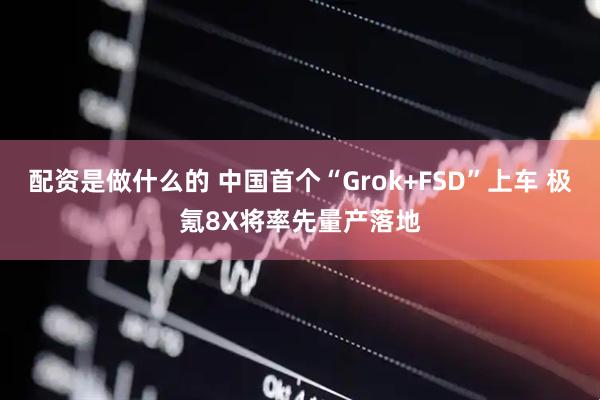 配资是做什么的 中国首个“Grok+FSD”上车 极氪8X将率先量产落地