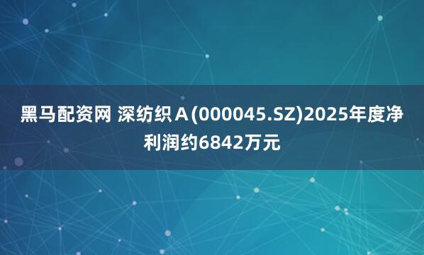 黑马配资网 深纺织Ａ(000045.SZ)2025年度净利润约6842万元