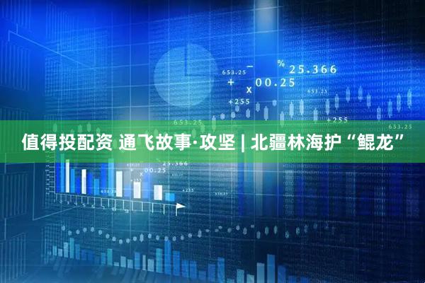 值得投配资 通飞故事·攻坚 | 北疆林海护“鲲龙”
